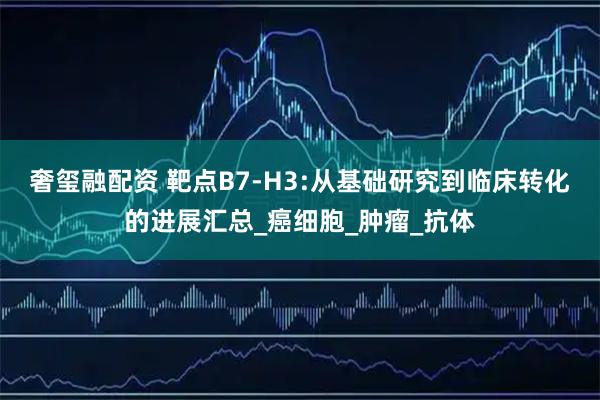 奢玺融配资 靶点B7-H3:从基础研究到临床转化的进展汇总_癌细胞_肿瘤_抗体