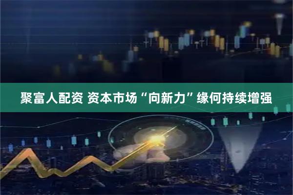 聚富人配资 资本市场“向新力”缘何持续增强